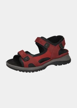 Sandales de trekking